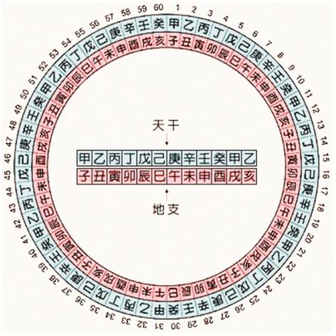 1997 天干地支|天干属性 干支纪年对照表